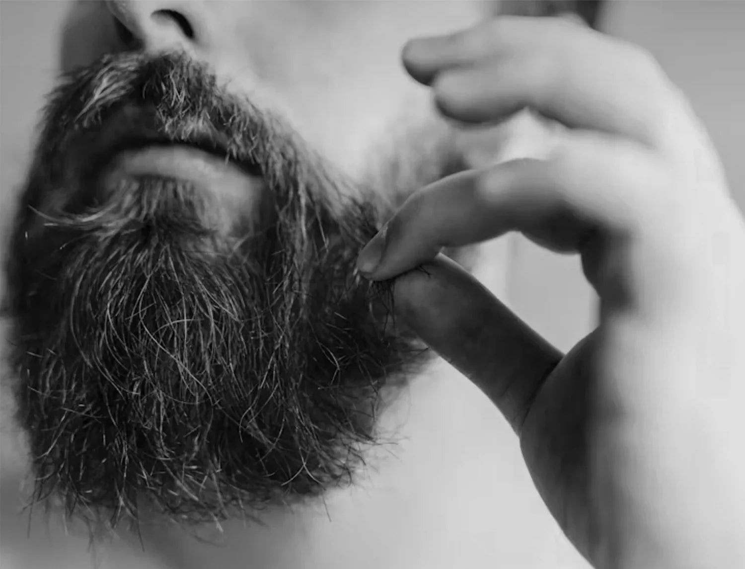 Beat the Beard Itch: Why Fall Is the Season for Beard Oil